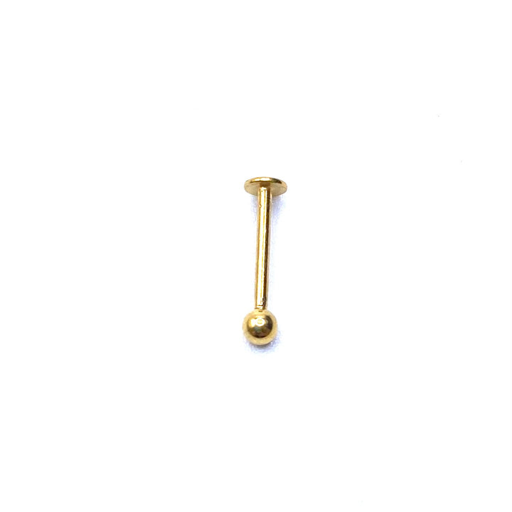 Internally Threaded Labret Gold